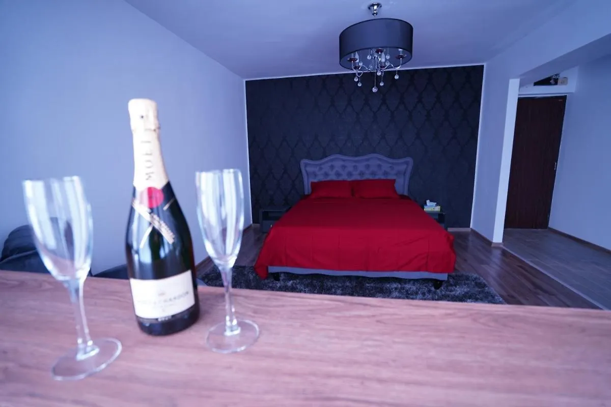 アパート Luxury 1Br Studio Near Hanul Drumetului ブカレスト
