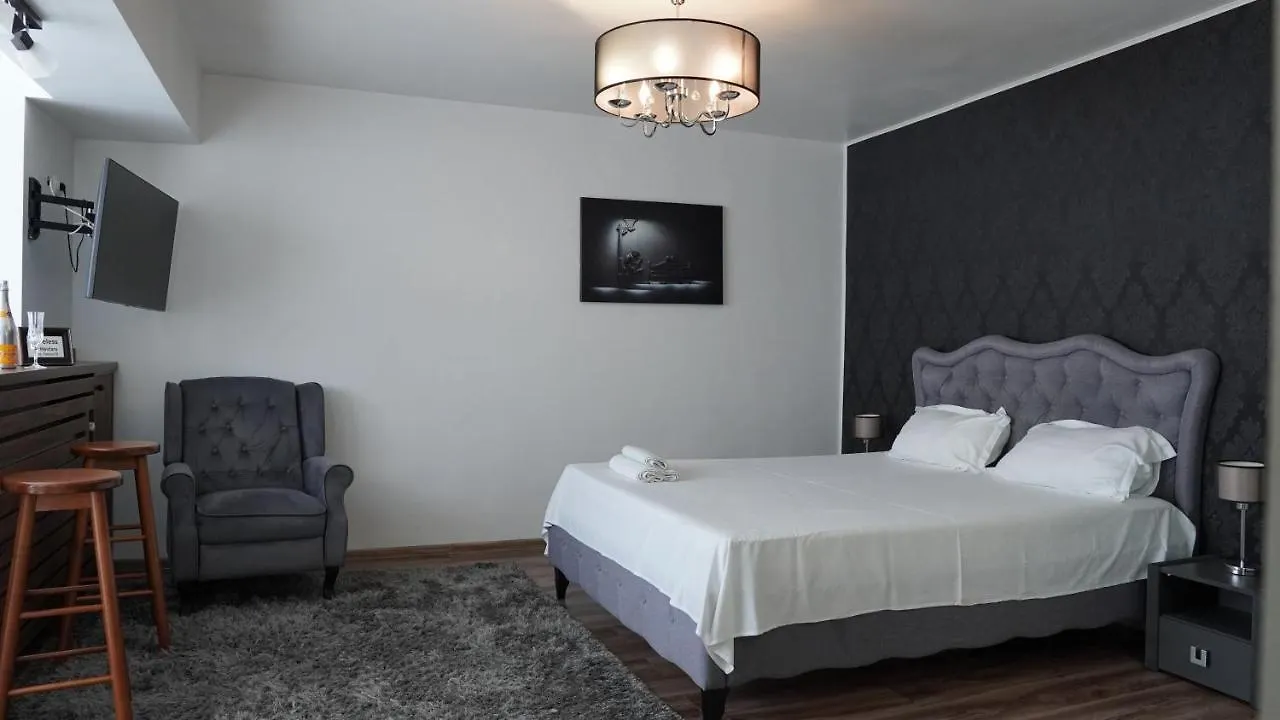 アパート Luxury 1Br Studio Near Hanul Drumetului ブカレスト